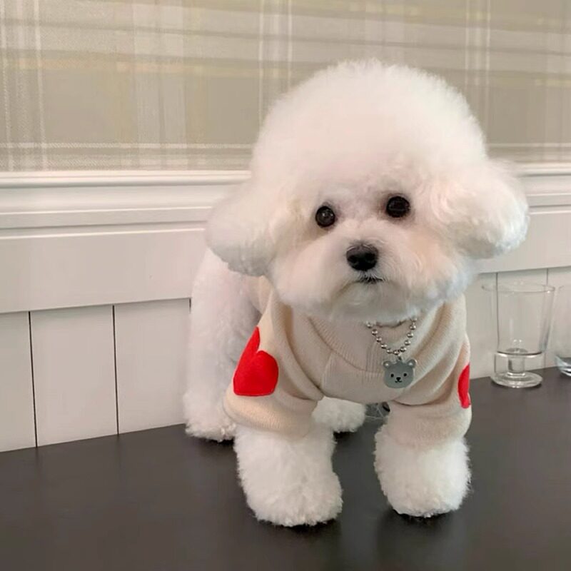 韩版秋冬加绒款卫衣猫咪狗狗泰迪宠物博美比熊约克夏马尔济斯衣服