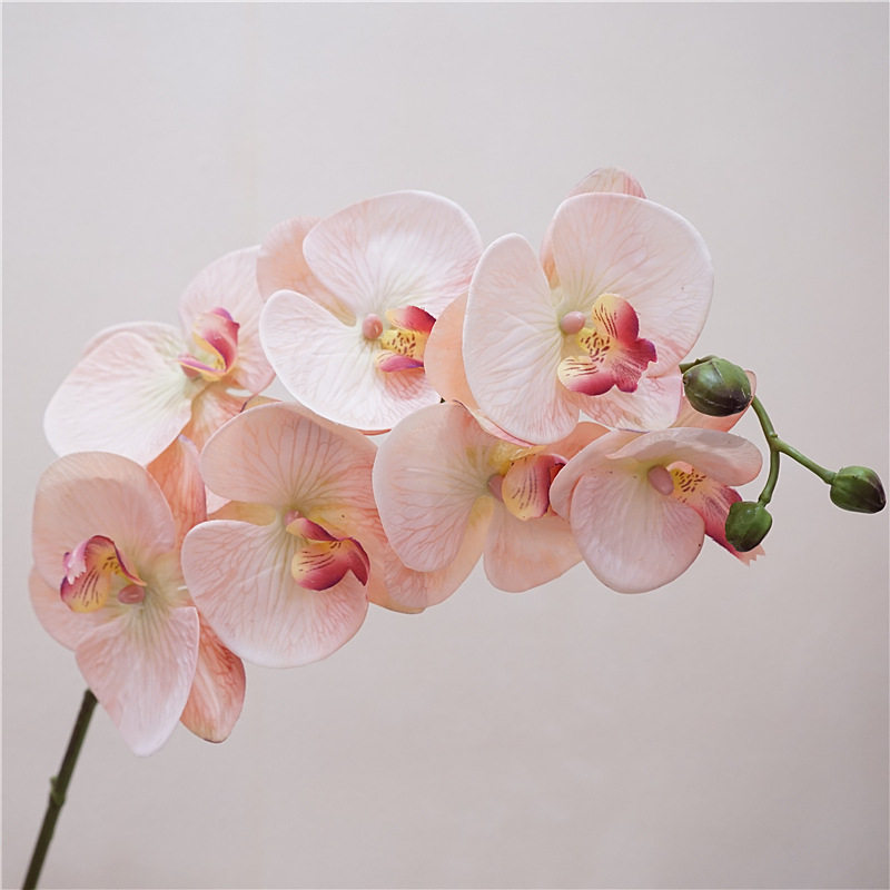 欧式仿真花手感保湿蝴蝶