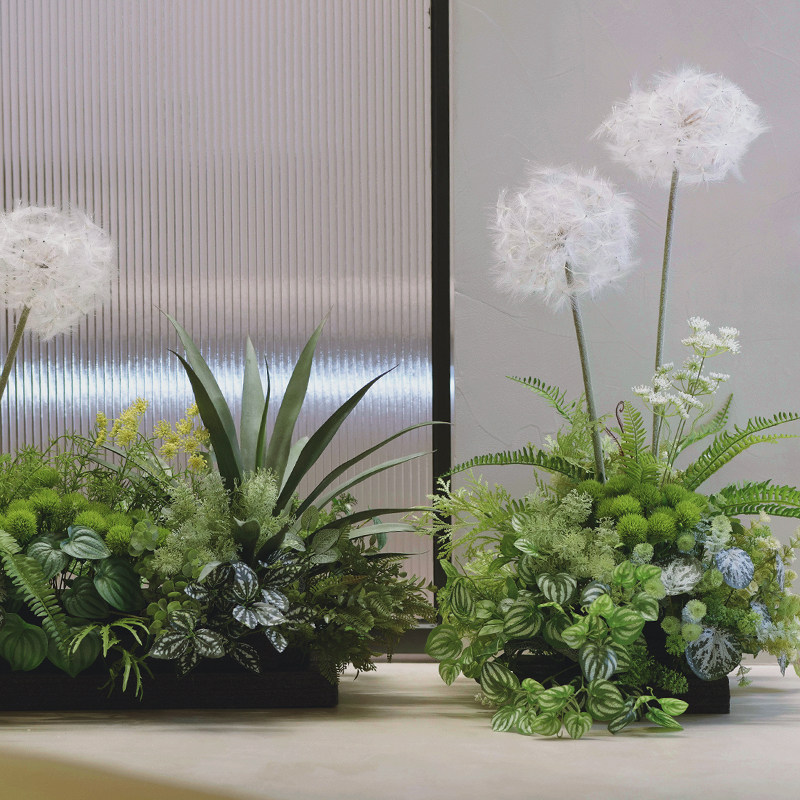 小型仿真植物景观蕨类把
