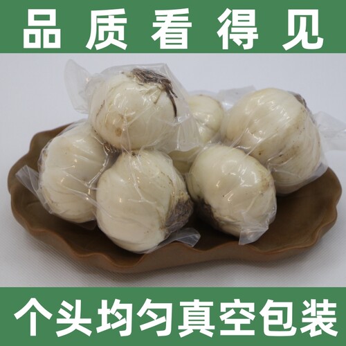 八年生兰州新鲜百合清甜粉糯特产