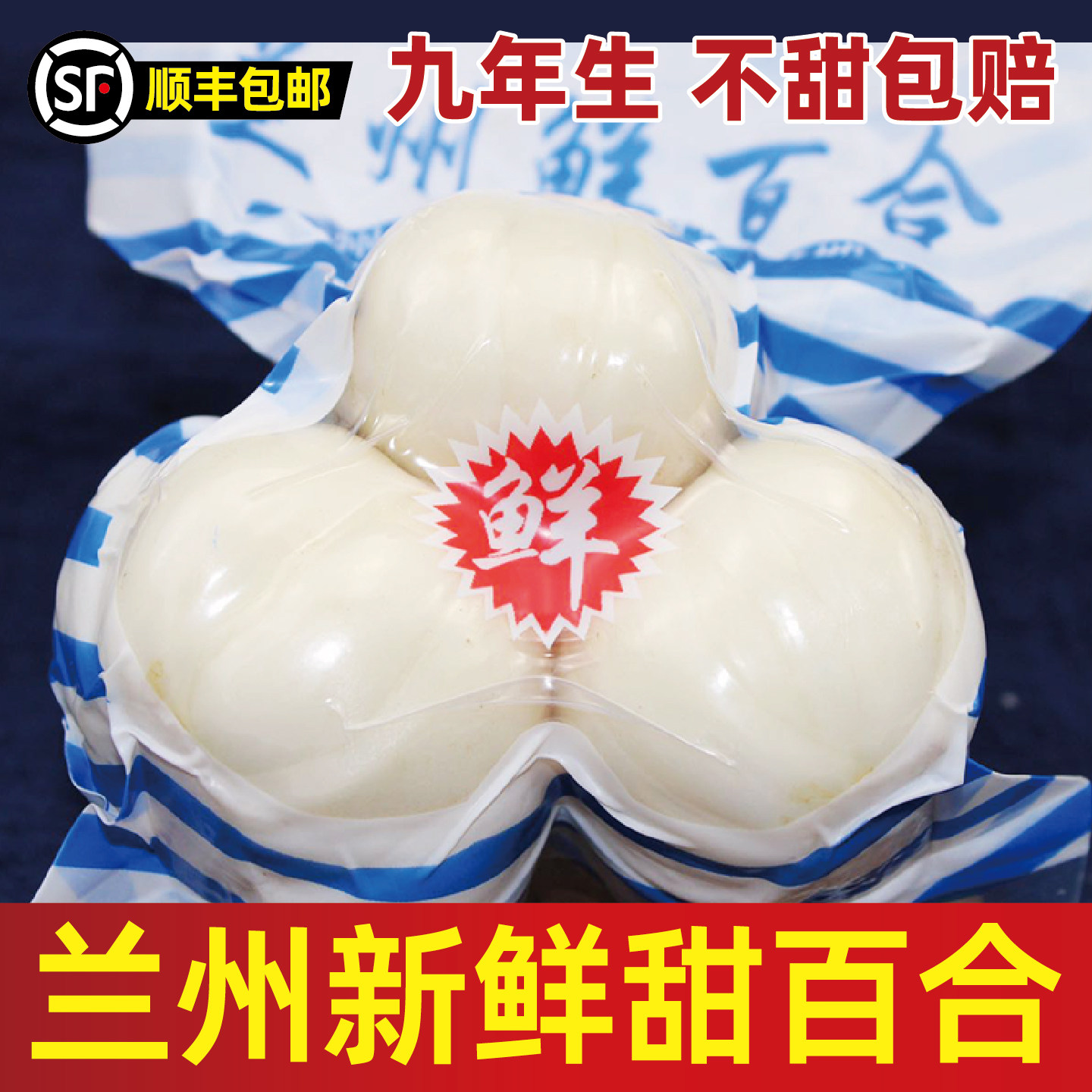 兰州鲜甜百合500g纯百合新鲜食用白合甘肃特产天然非干货特级包邮