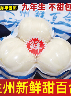 兰州鲜甜百合500g纯百合新鲜食用白合甘肃特产天然非干货特级包邮