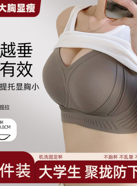 无痕大胸显小内衣女提拉聚拢防下垂收副乳调整型固定杯文胸罩薄款