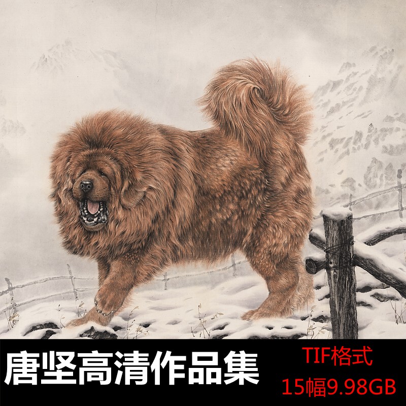 近现代高清国画唐坚西藏人物动物藏獒/狼狗/狮子/装饰画电子素材
