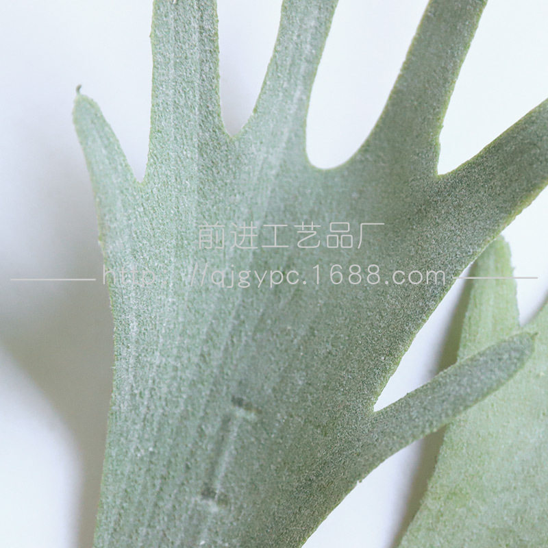 沙生植物仿真绿植鹿角叶