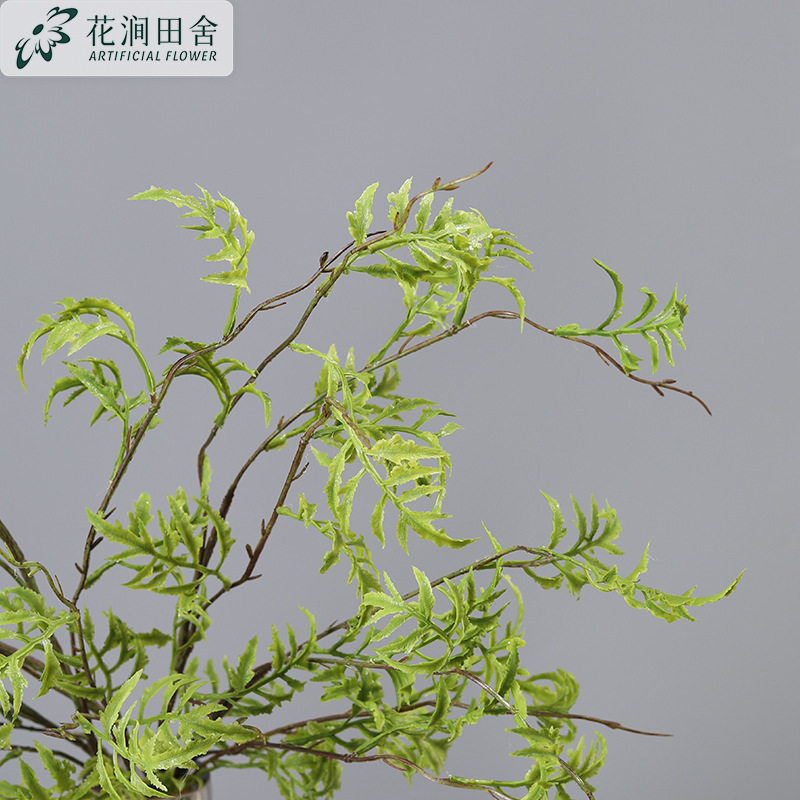 仿真绿植海金沙蕨叶七星