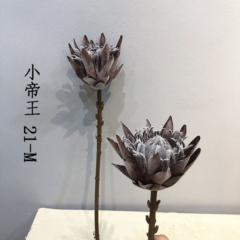仿真干枯帝王花植毛欧式