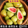 新鮮無花果精品果青皮巴勞奈當季孕婦水果3斤淨重現摘順豐包郵