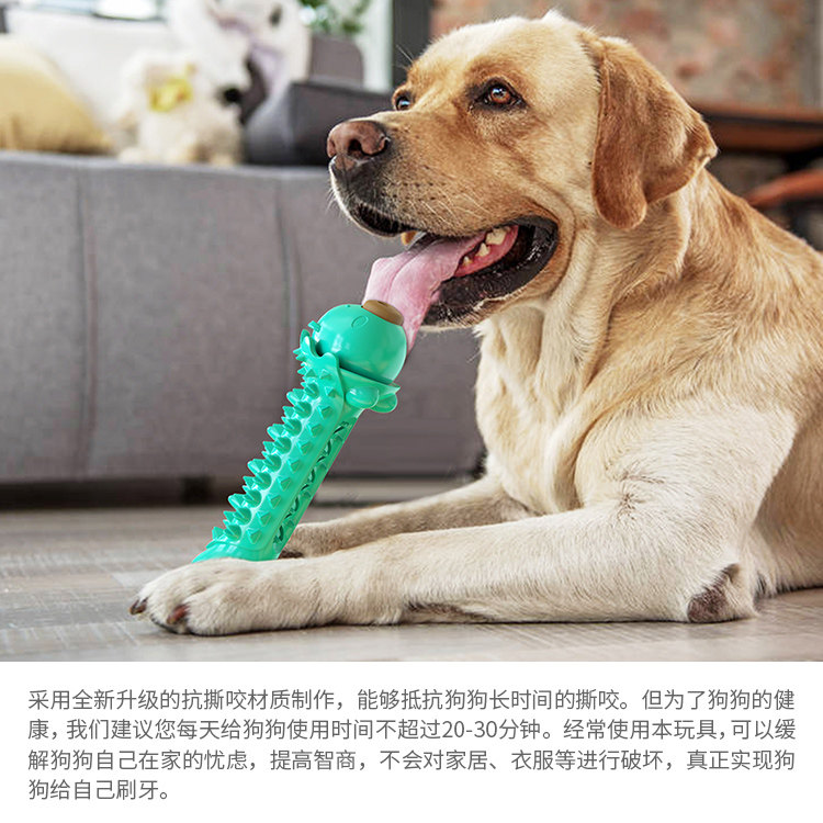 狗狗玩具洁牙磨牙耐咬漏食解闷中大型犬金毛萨摩柯基柴犬清洁牙齿
