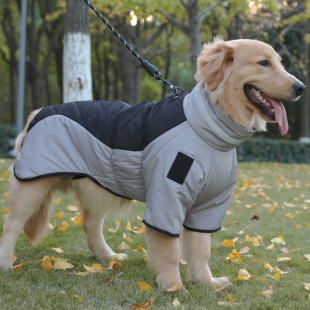 狗狗衣服秋冬金毛中型大型犬宠物边牧大狗拉布拉多巨贵冬天狗棉衣