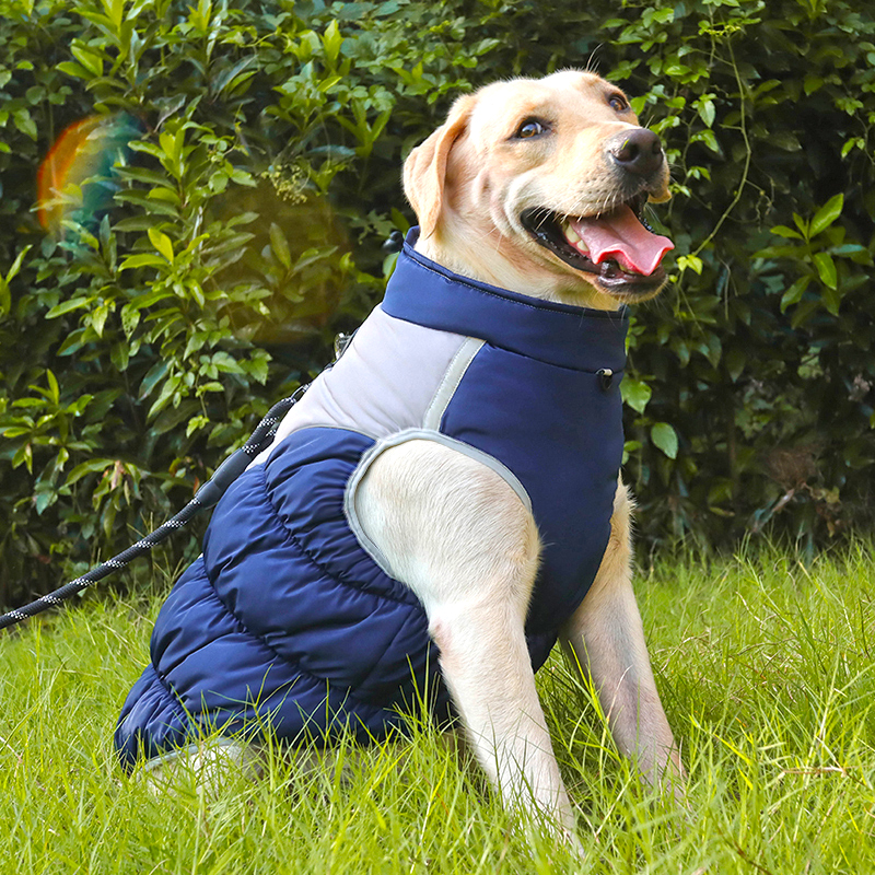 大狗狗衣服秋冬款边牧拉布拉多萨摩耶金毛中型大型犬冬季棉服冬天