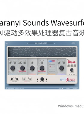 AI冲浪 复古多效果 处理器插件Karanyi Sounds Wavesurfer Pc/Mac