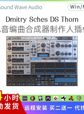 Dmitry Sches DS Thorn 电子音乐 合成器插件 制作编曲乐器Pc/Mac