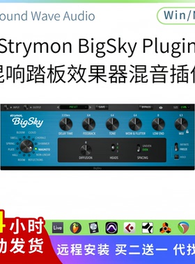 Strymon BigSky Plugin 混响踏板效果器混音插件 声音设计Win