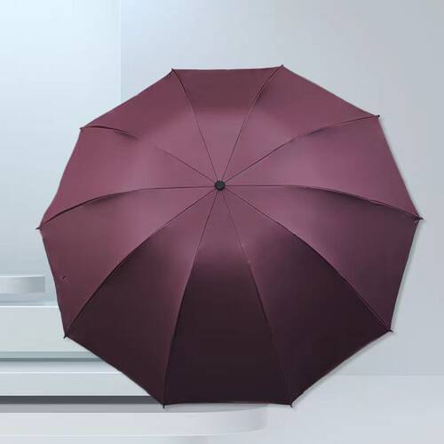 10骨雨伞大号双人晴折叠