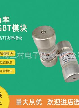 全新熔断器保险丝FR10GR69V16/D1014579FR10GR69V20/E1014580