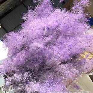 永生漂色雾中情人保鲜花黄栌干花婚庆软装家居插花配材