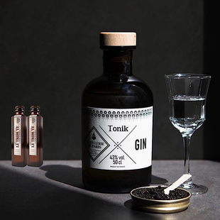 TONIK PARIS GIN杜松子酒 法国激情酒庄托尼克金酒DISTILLERIE
