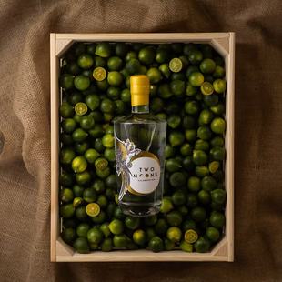 MOONS致月小青桔金酒杜松子酒 清爽金汤力TWO 首发香港制造 好喝