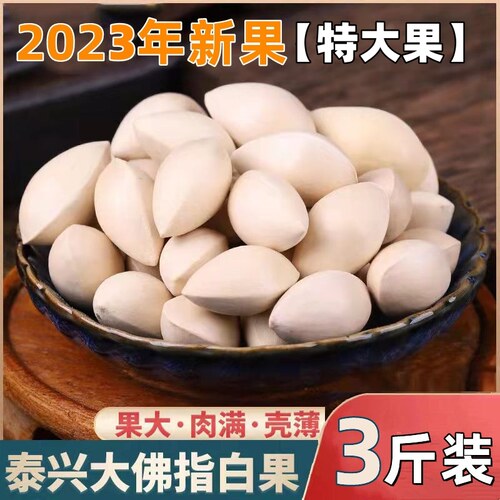 2024年新果特大白果新鲜白果泰兴银杏果带壳生的饱满不漂白3斤