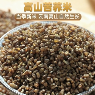 苦荞米云南特产新米低脂无糖农家自产荞麦米煮粥五谷杂粮健康食品