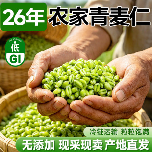 青麦仁新鲜小麦子粒大青稞米河南正宗去皮无添加嫩麦2026山东杂粮