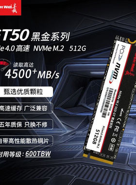 长城GT50512GBM.2PCIE4.0硬盘