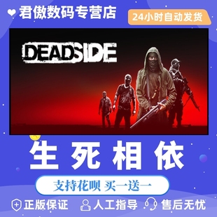 生死相依 Steam 游戏 全新成品号 PC正版 Deadside