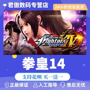 FIGHTERS PC正版 KING Steam XIV 君傲数码 拳皇14 EDITION 游戏 THE STEAM