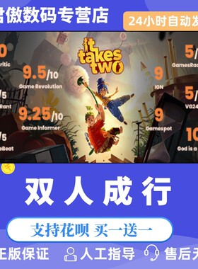 steampc正版游戏双人同行合作