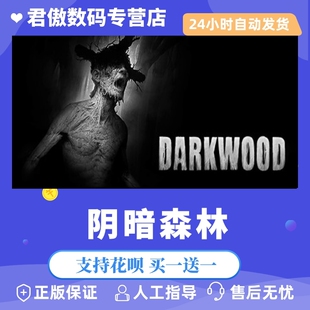 Darkwood君傲数码 阴暗森林 PC正版 Steam