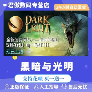 Steam PC正版 黑暗与光明 Dark and Light 君傲数码