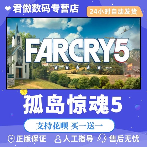 Steam正版游戏孤岛惊魂君傲数码
