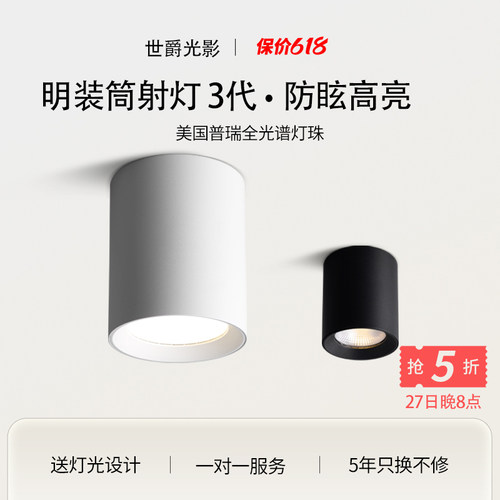 led吸顶式免开孔商用明装筒灯