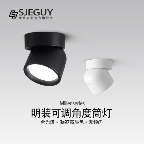 调角度筒灯高显色全光谱