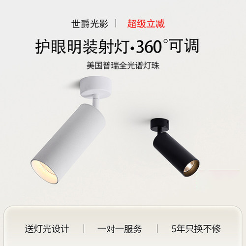 极简led明装可调角度洗墙射灯