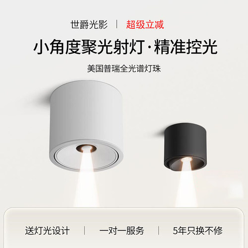 迷你小角度聚光led射灯