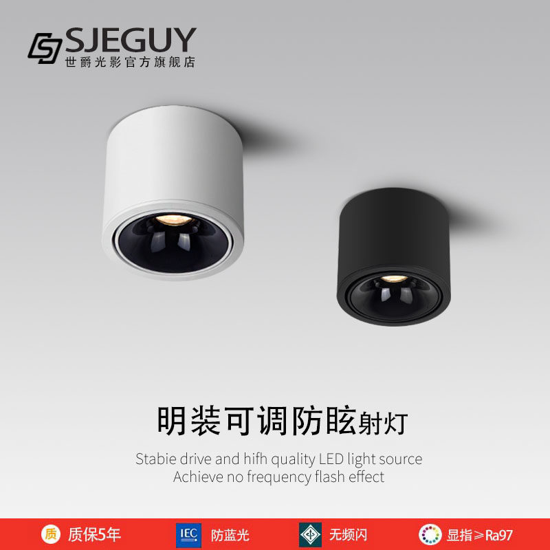 极简超薄明装射灯可调角度无主灯客厅家用背景墙吸顶防眩光小筒灯,家装灯饰光源,明装射灯,淘宝优惠券,粉丝福利购,淘宝优惠卷