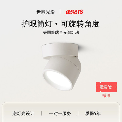 调角度筒灯高显色全光谱