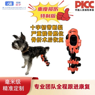 犬膝关节护具重度十字韧带撕裂骨折固定修复狗狗髌骨脱位护具定制