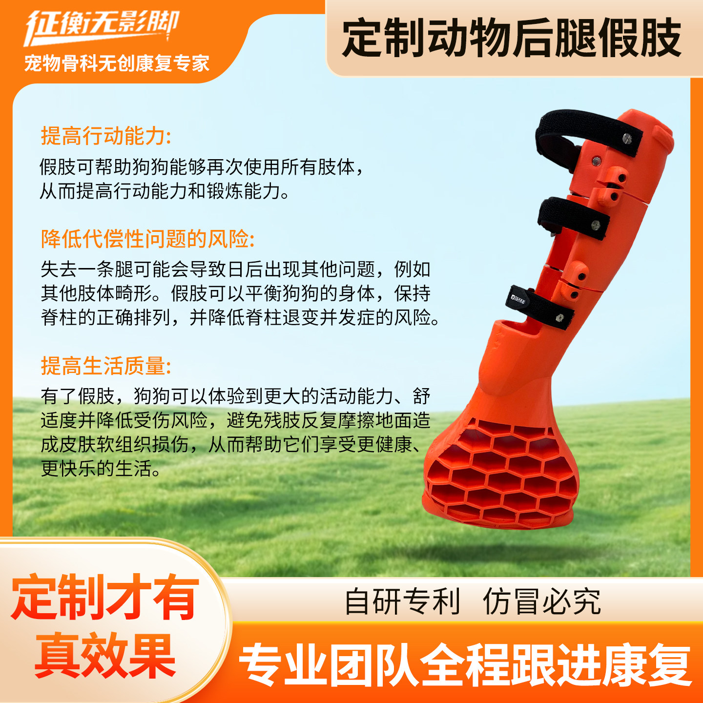定制狗狗后肢假肢宠物后腿假肢小狗后腿截肢假肢定制