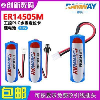 睿奕ER14505M工控PLC温控器水表