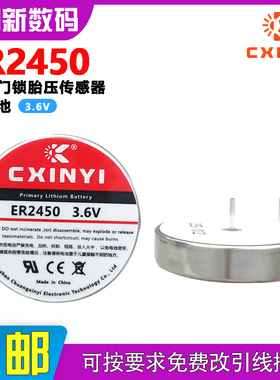 CXINYI创新易ER2450智能门锁胎压监测传感器烟雾报警器气体检测仪