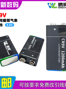 鹏辉CP9V工控伺服智能压力变送器燃气表测距仪麦克风9V方块锂电池