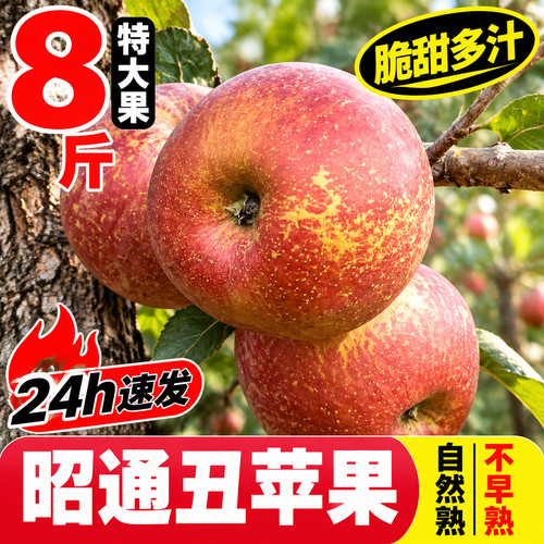 云南昭通丑苹果8斤大果冰糖心