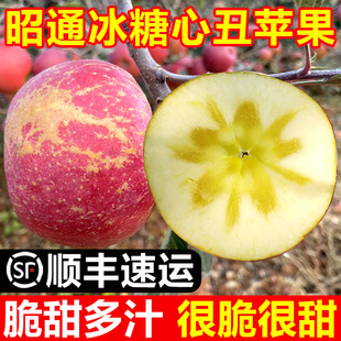 包邮 10斤 脆甜应季 顺丰云南昭通丑苹果冰糖心苹果新鲜水果整箱当季