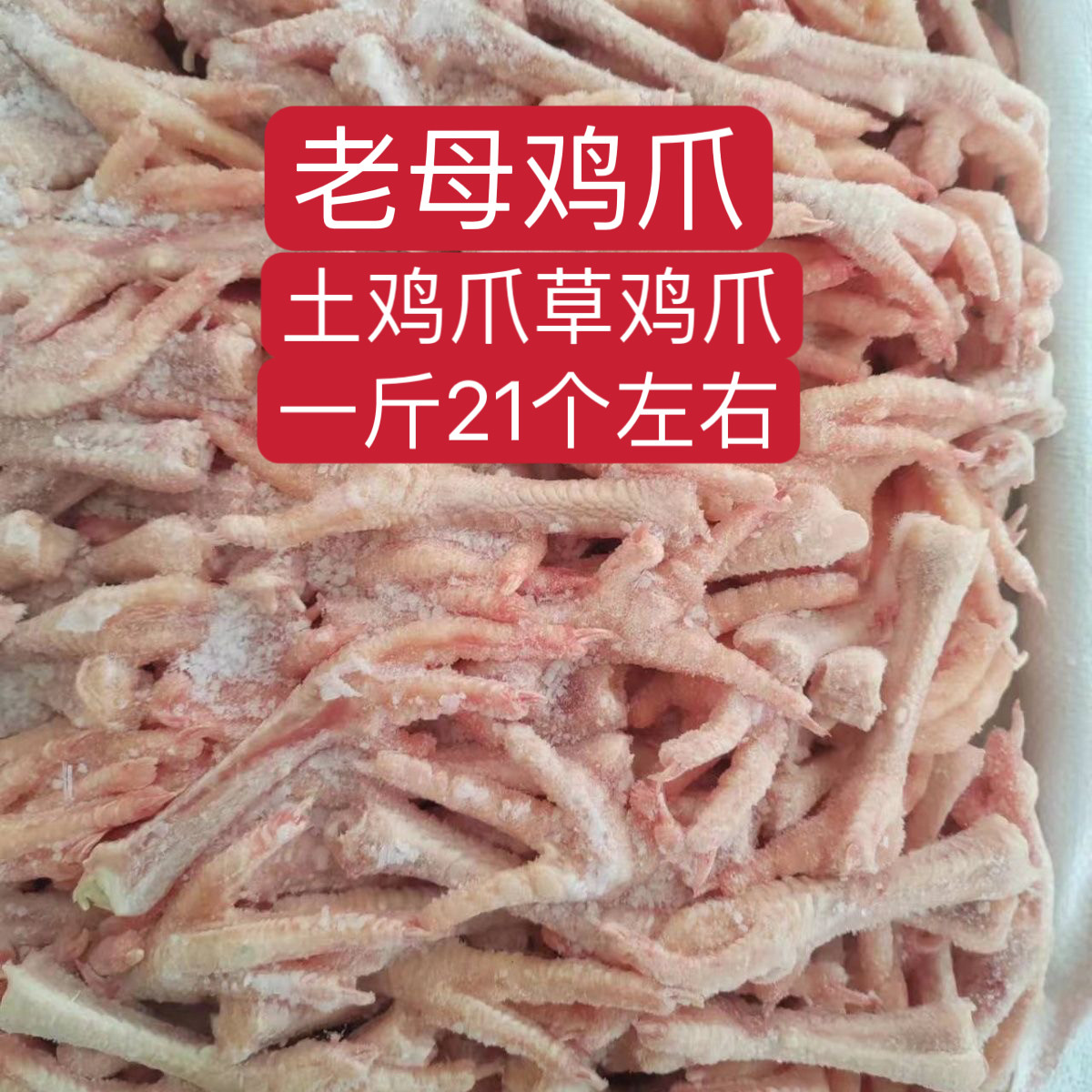 新鲜速冻冷冻老母鸡爪30斤土鸡爪瘦鸡爪盐焗卤制食堂家用均可