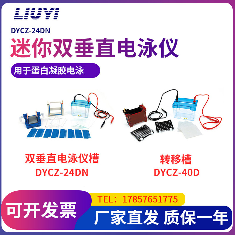 北京六一电泳槽迷你双垂直