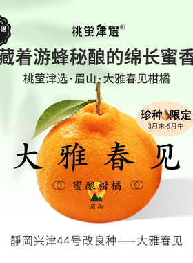 稀！桃萤津选 大雅春见柑橘 蜜酿浓香型 新一代粑粑柑 礼盒装 SF