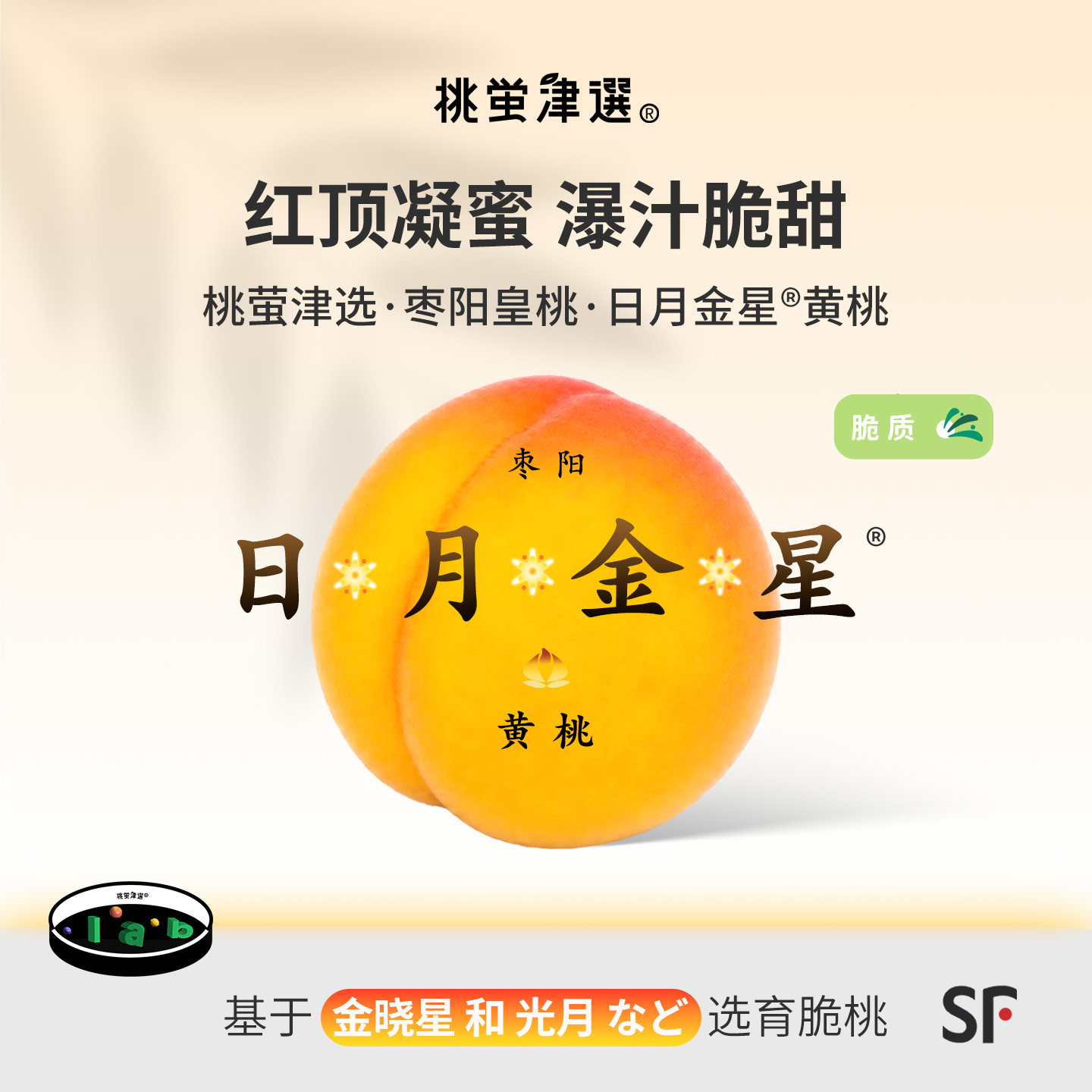 稀!桃萤津选 日月金星™黄桃 脆香蜜黄桃 枣阳产 整箱礼盒装 SF